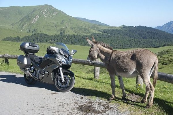 Choisir les meilleures batteries pour vos motos électriques